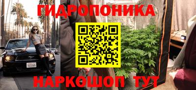 спиды Моздок