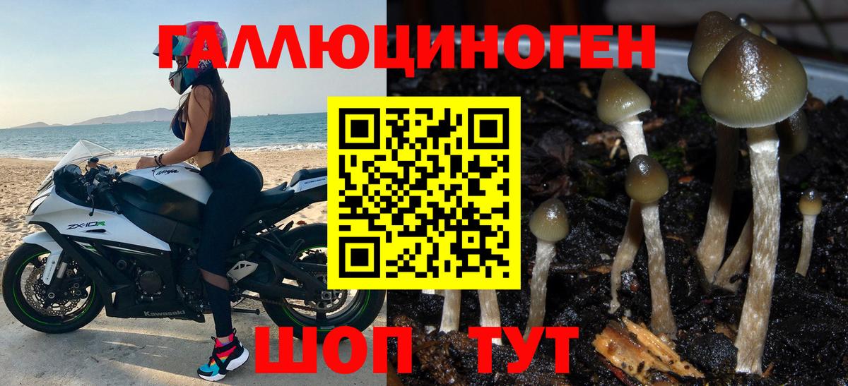 Галлюциногенные грибы мухоморы Великий Устюг