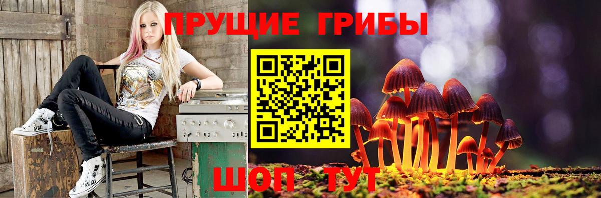 хочу   Вход с VPN  Великий Устюг  Галлюциногенные грибы ЛСД 